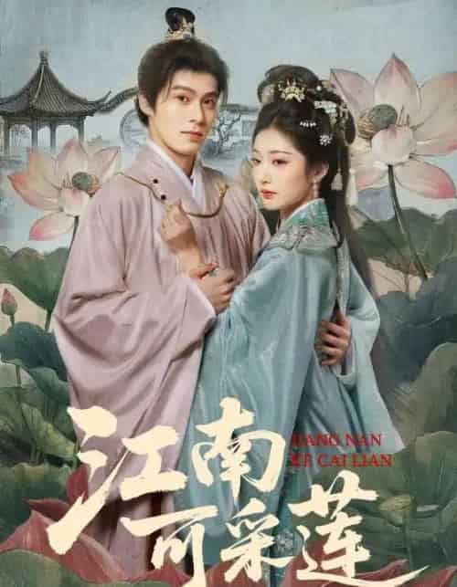 江南可采莲（86集全）朱致灵＆孙露鹭-搜外项目网