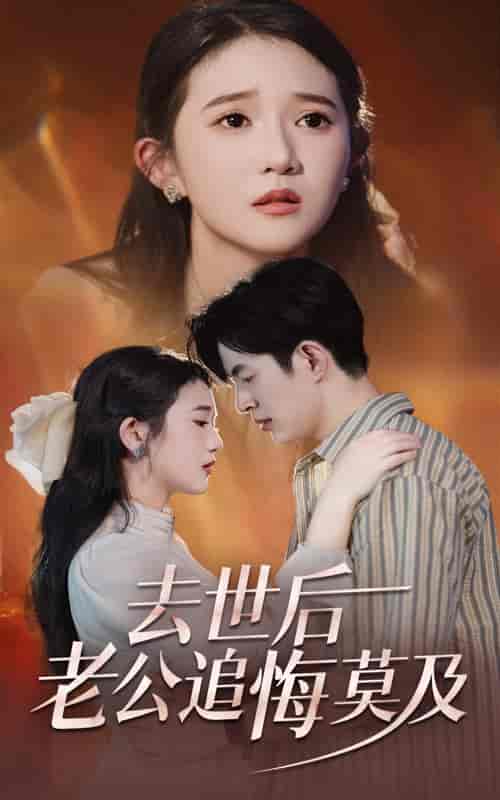 去世后老公追悔莫及（41集全）-搜外项目网