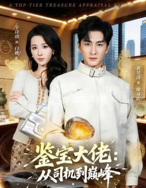 鉴宝大佬： 从司机到巅峰（80集全）黄昱清＆辛诗琪-搜外项目网