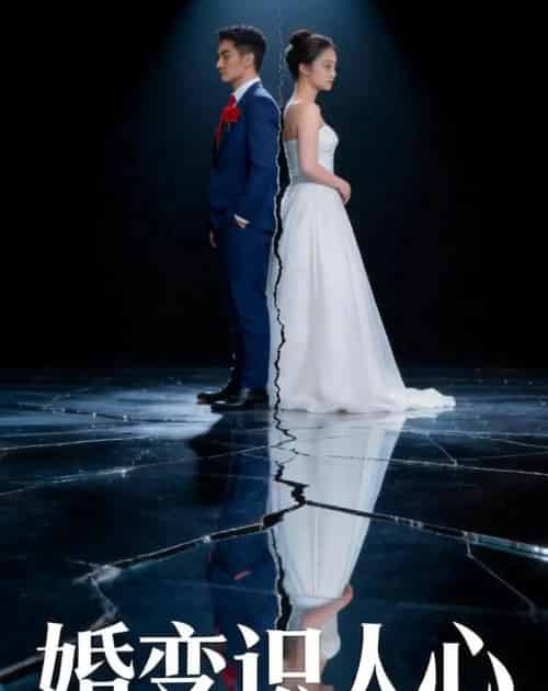 婚变识人心（54集全）AI-搜外项目网