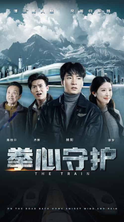 拳心守护（28集全）谭雯文-搜外项目网