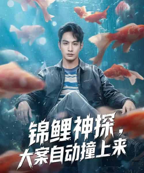 锦鲤神探，大案自动撞上来（80集全）张玉忱＆逯可儿-搜外项目网