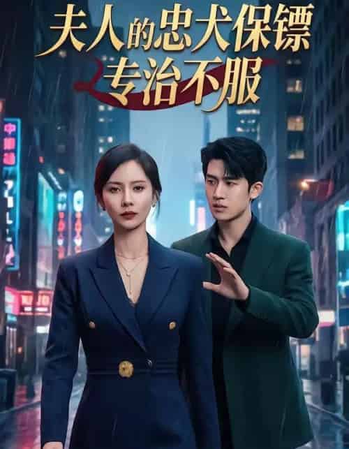 夫人的忠犬保镖专治不服（34集全）魏晓璇＆子扬-搜外项目网
