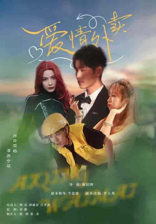 爱情外卖（31集全）卫大宝＆苏敏-搜外项目网