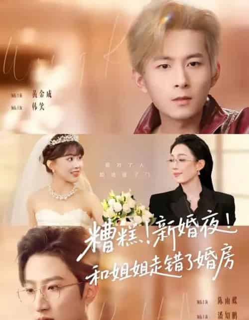 糟糕！新婚夜！和姐姐走错了婚房＆糟糕新婚夜和姐姐走错了婚房（77集全）陈小满＆韩笑＆黄金成＆潘知鹏-搜外项目网