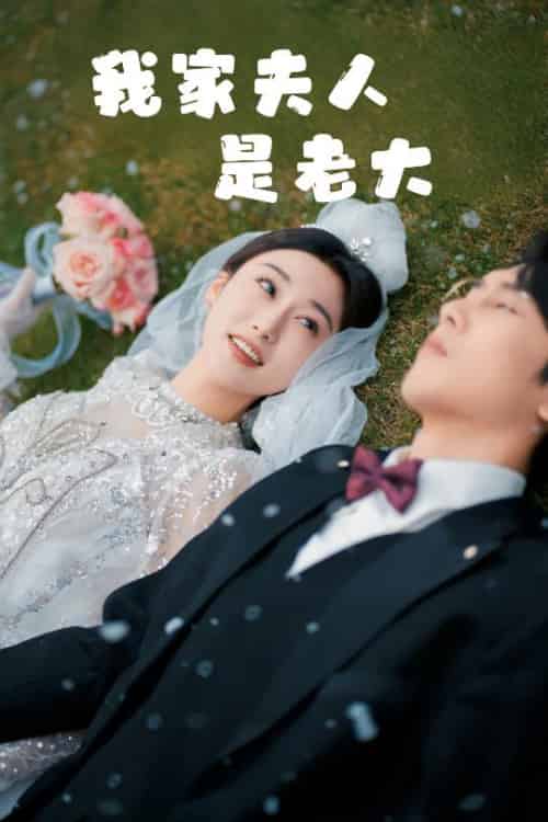 我家夫人是老大&救命!夫人竟然是大佬(41集全)成言&刘亚倩-搜外项目网