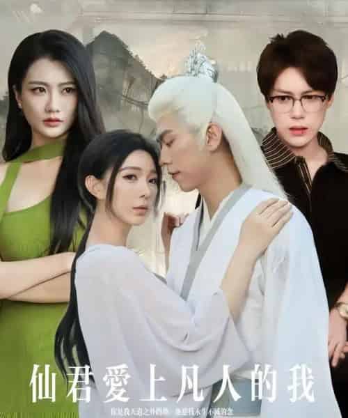 仙君爱上凡人的我（70集全）杨一帆＆田洢菲-搜外项目网