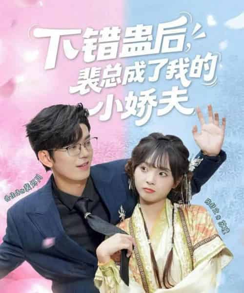 下错蛊后，裴总成了我的小娇夫（62集全）徐佳伟＆陈舒宜-搜外项目网