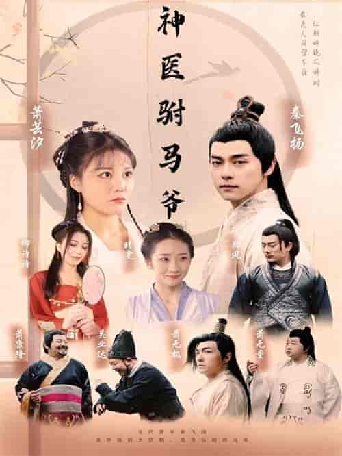神医驸马爷（80集）穿越剧-搜外项目网