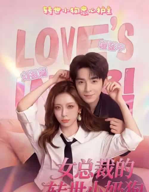 女总裁的转世小奶狗（30集全）程钲中＆刘祖嫣-搜外项目网