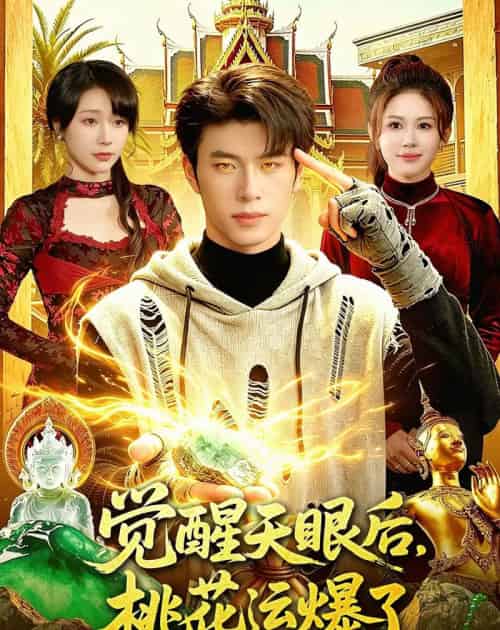 觉醒天眼后,桃花运爆了(95集全)齐宥澄&邹漪琳-搜外项目网