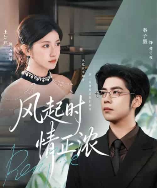风起时情正浓（79集全）秦子墨＆王如玮＆洪乔-搜外项目网
