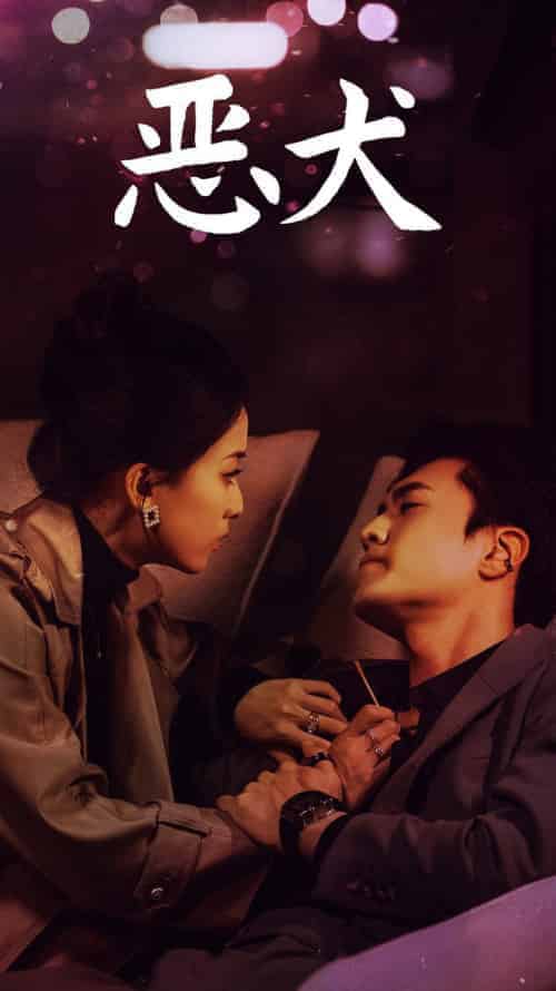 恶犬（64集全）聂博宣＆蔺瑞雪-搜外项目网