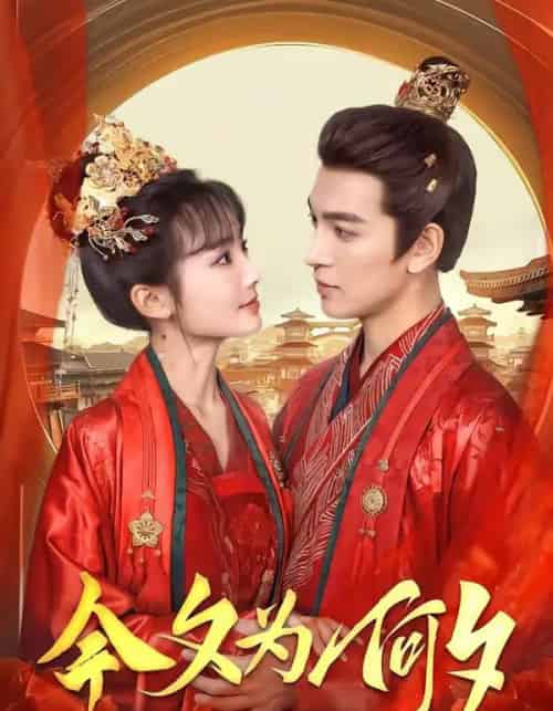 今夕为何夕（147集全）贾翼瑄＆王嘉懋-搜外项目网