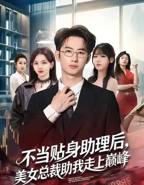 不当贴身助理后，美女总裁助我走上巅峰（79集全）马子超＆杨林涛（杨桃）-搜外项目网