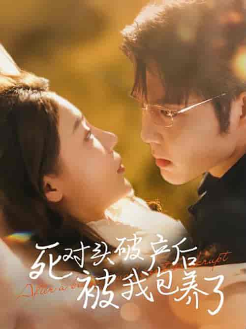 死对头破产后被我包养了(100集)王晨鹏 盛以婕-搜外项目网