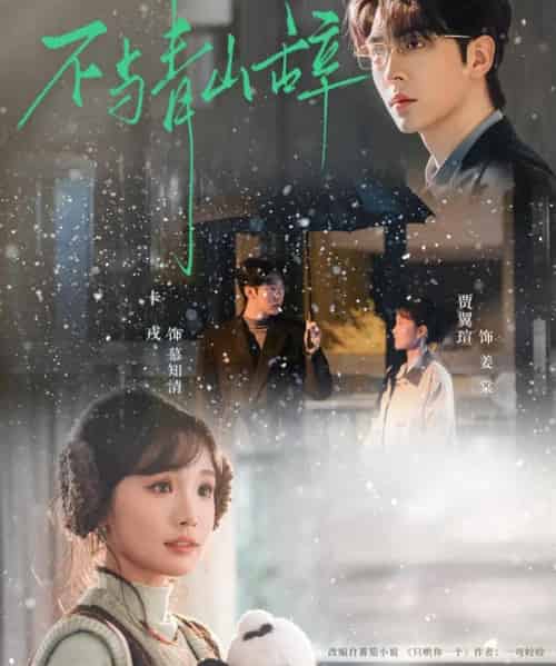 不与青山辞（78集全）卡戎＆贾翼瑄-搜外项目网
