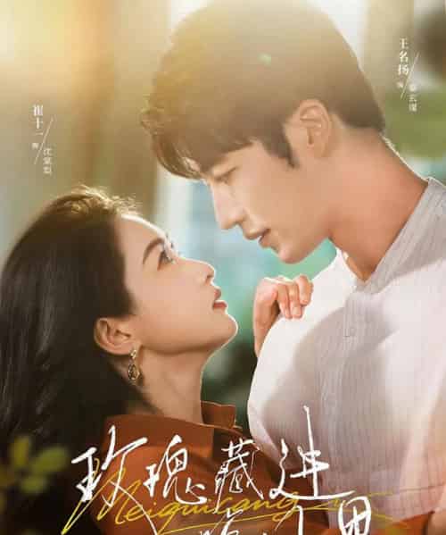 玫瑰藏进晚风里（68集全）王名扬＆崔十一-搜外项目网