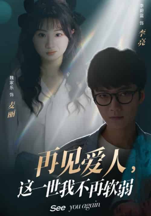 再见爱人,这一世我不再软弱(40集全)李亮&麦丽-搜外项目网