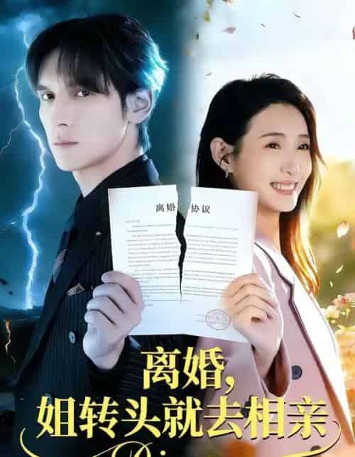 离婚，姐转头就去相亲（80集全）郧怡静＆于散-搜外项目网