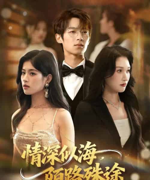 情深似海，陌路殊途（47集全）刘添宇＆郑博-搜外项目网