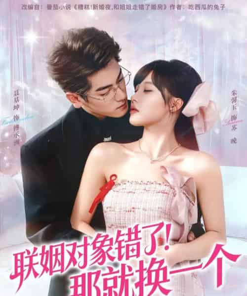 联姻对象错了！那就换一个（93集全）聂基坤＆朱馨玉-搜外项目网