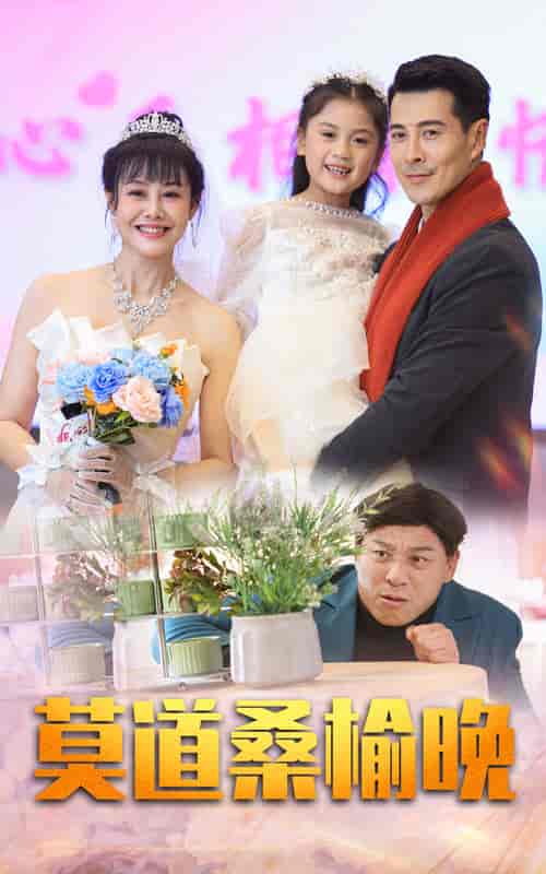 莫道桑榆晚（64集全）-搜外项目网