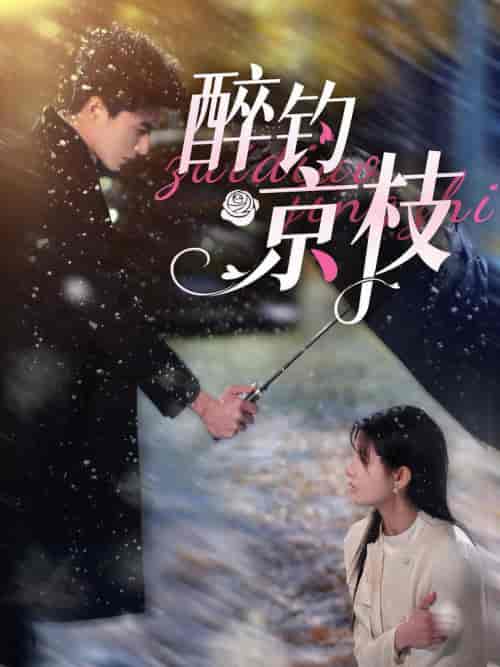 醉钓京枝（93集全）李柏言＆王槿-搜外项目网