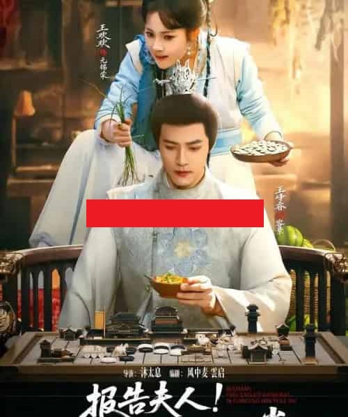 报告夫人！流放将军要登堂（65集全）王欢欢＆王峥睿-搜外项目网