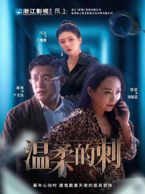 温柔的刺（63集全）腾林＆冯沅＆邬倩-搜外项目网