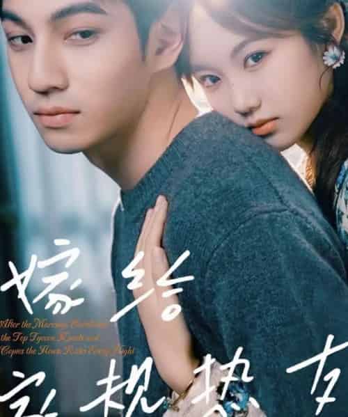 嫁给家规热友(80集全)曾帅翔&张钰茜-搜外项目网