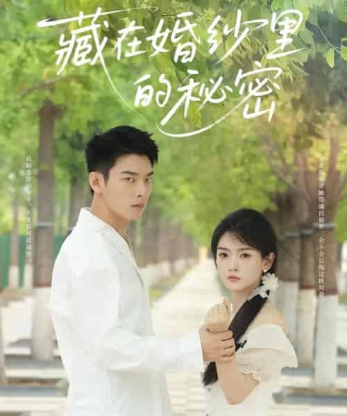 藏在婚纱里的秘密（61集）林鹿＆杨北川-搜外项目网