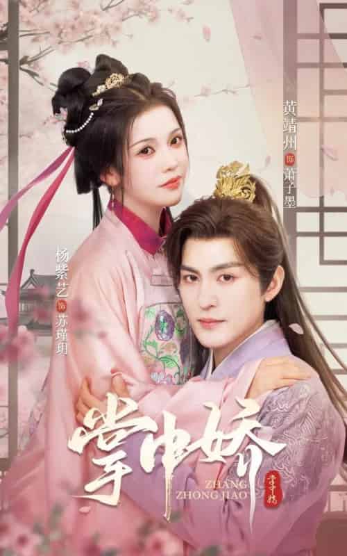 掌中娇(94集)黄靖洲&杨紫艺-搜外项目网