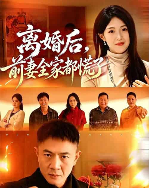 离婚后,前妻全家都慌了(52集全)张鹏&琳欣-搜外项目网