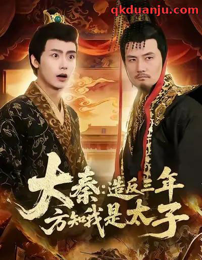 大秦造反三年方知我是太子(154集全)夏锦沐&何杉-搜外项目网