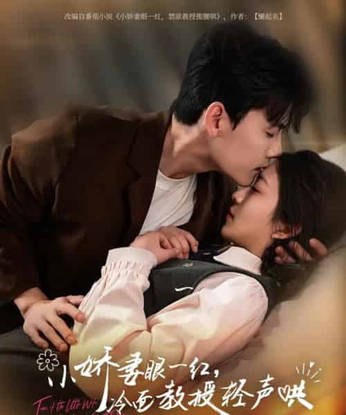 小娇妻眼一红冷面教授轻声（67集）陈刚＆付予-搜外项目网