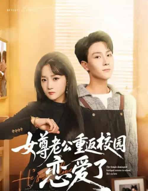 女尊老公重返校园恋爱了(75集全)梁溪&李亚云-搜外项目网