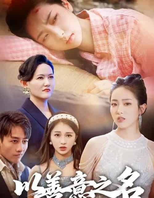 以善意之名（45集全）黄傲＆姚杭辰-搜外项目网