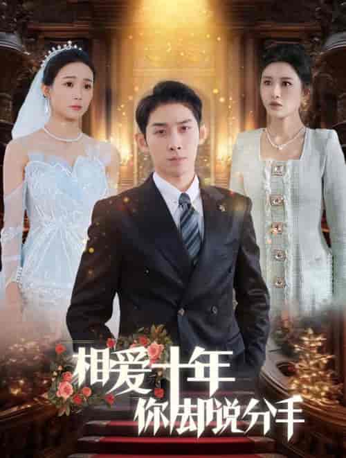 相爱十年你却说分手（35集全）彭羽＆远霞-搜外项目网
