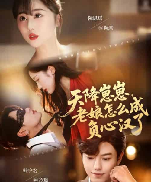 天降崽崽，老娘怎么成负心汉了（82集全）阮思瑶＆韩宇宏-搜外项目网