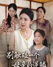 别触碰一个母亲的逆鳞（33集全）苏梦雅-搜外项目网
