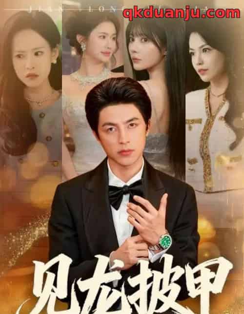 见龙披甲（70集全）吴昊＆王雨薇-搜外项目网