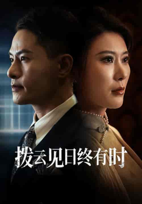 拨云见日终有时（30集全）叶晨＆苏寒烟-搜外项目网