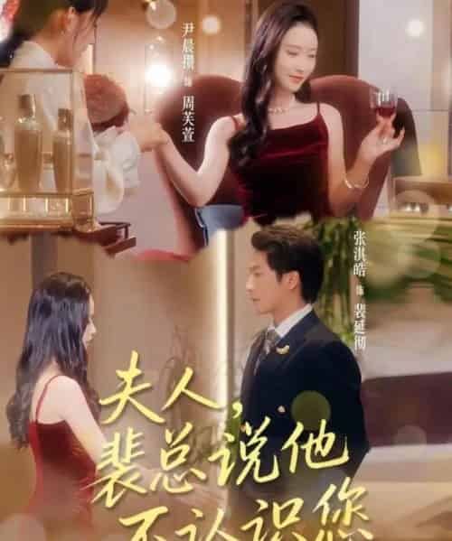 夫人裴总说他不认识您（75集全）张淇皓＆尹晨攒-搜外项目网