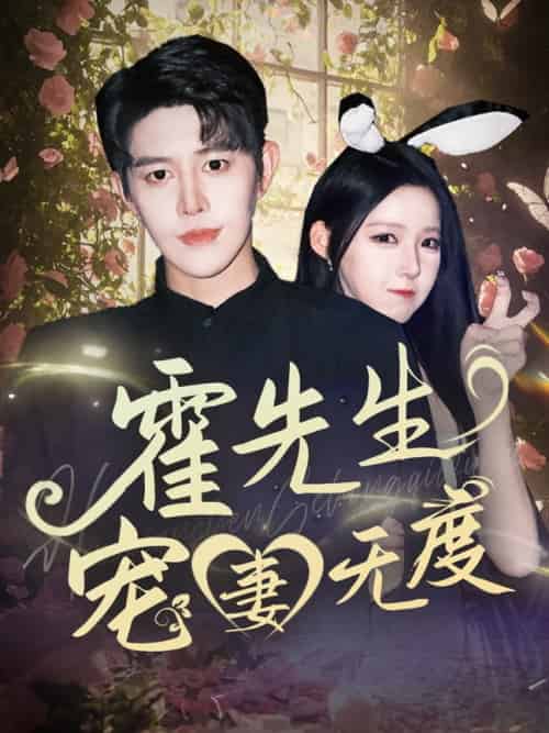 霍先生宠妻无度(87集全)王朝阳&崔晓曼-搜外项目网