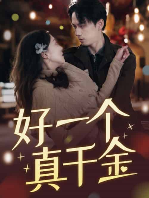 好一个真千金（83集）陈政阳＆吴昊-搜外项目网