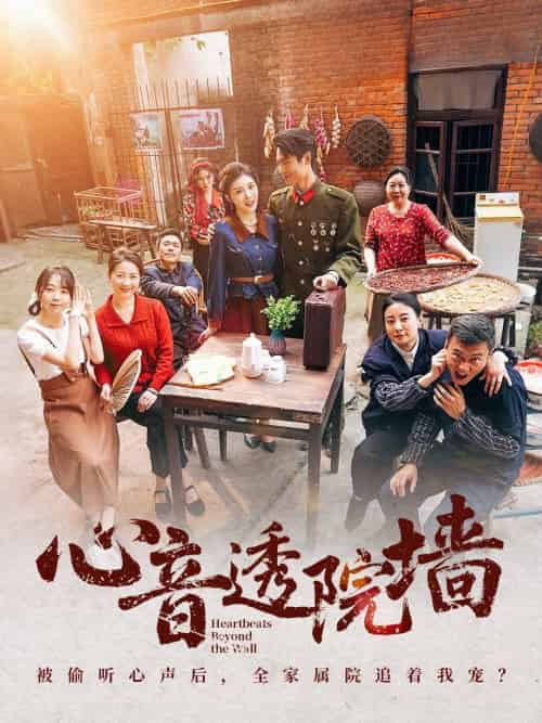 心音透院墙（60集）刘雨吴＆冯沅-搜外项目网