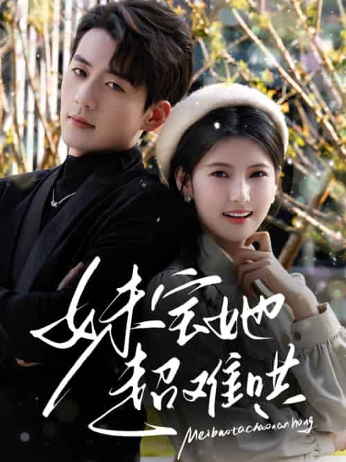 妹宝她超难哄(68集)杜培源&王槿-搜外项目网