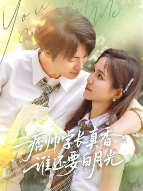 痞帅学长真香谁还要白月光（70集）刘叁肆＆馨方-搜外项目网