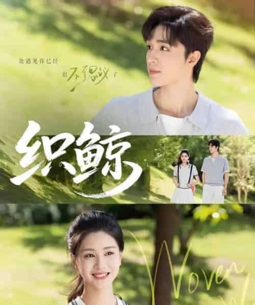 织鲸（86集）梁思伟＆朱小雪-搜外项目网